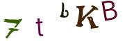 圖片的 CAPTCHA