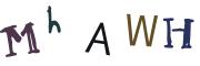 圖片的 CAPTCHA