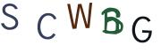 圖片的 CAPTCHA
