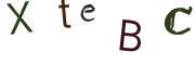 圖片的 CAPTCHA