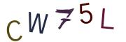 圖片的 CAPTCHA