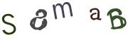 圖片的 CAPTCHA