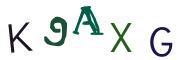 圖片的 CAPTCHA