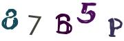 圖片的 CAPTCHA
