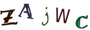 圖片的 CAPTCHA