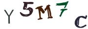 圖片的 CAPTCHA