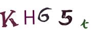 圖片的 CAPTCHA