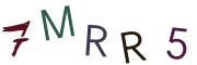 圖片的 CAPTCHA