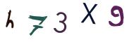 圖片的 CAPTCHA