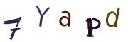 圖片的 CAPTCHA