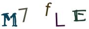 圖片的 CAPTCHA