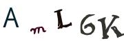 圖片的 CAPTCHA