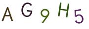 圖片的 CAPTCHA