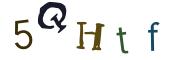 圖片的 CAPTCHA