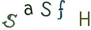 圖片的 CAPTCHA