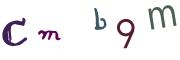 圖片的 CAPTCHA