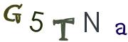 圖片的 CAPTCHA