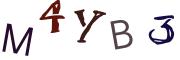 圖片的 CAPTCHA