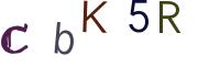 圖片的 CAPTCHA