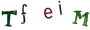 圖片的 CAPTCHA