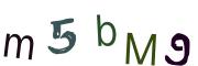 圖片的 CAPTCHA