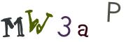 圖片的 CAPTCHA