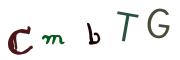 圖片的 CAPTCHA
