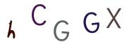 圖片的 CAPTCHA