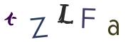 圖片的 CAPTCHA