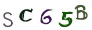 圖片的 CAPTCHA