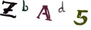 圖片的 CAPTCHA