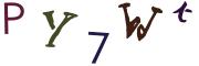 圖片的 CAPTCHA