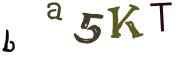 圖片的 CAPTCHA