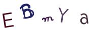 圖片的 CAPTCHA