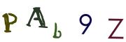 圖片的 CAPTCHA