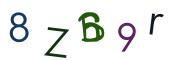 圖片的 CAPTCHA