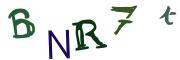圖片的 CAPTCHA
