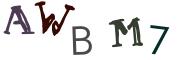 圖片的 CAPTCHA