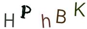 圖片的 CAPTCHA