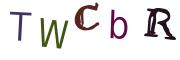 圖片的 CAPTCHA