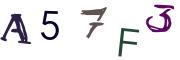 圖片的 CAPTCHA