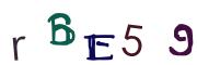 圖片的 CAPTCHA
