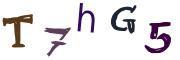 圖片的 CAPTCHA