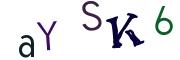 圖片的 CAPTCHA