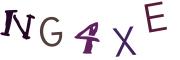 圖片的 CAPTCHA