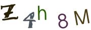 圖片的 CAPTCHA