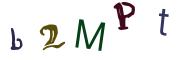 圖片的 CAPTCHA