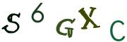 圖片的 CAPTCHA