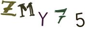 圖片的 CAPTCHA