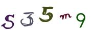圖片的 CAPTCHA